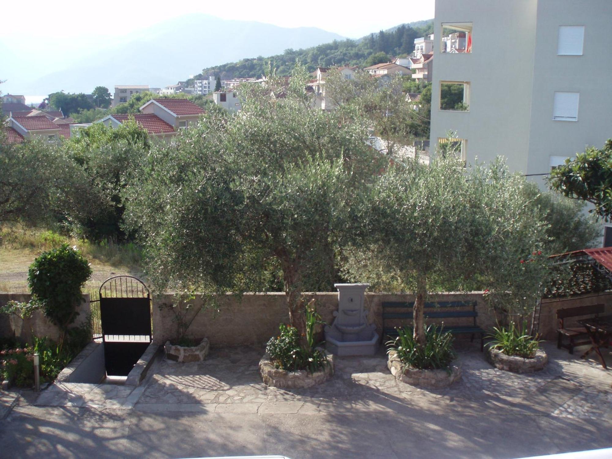 Matkovic * Tivat